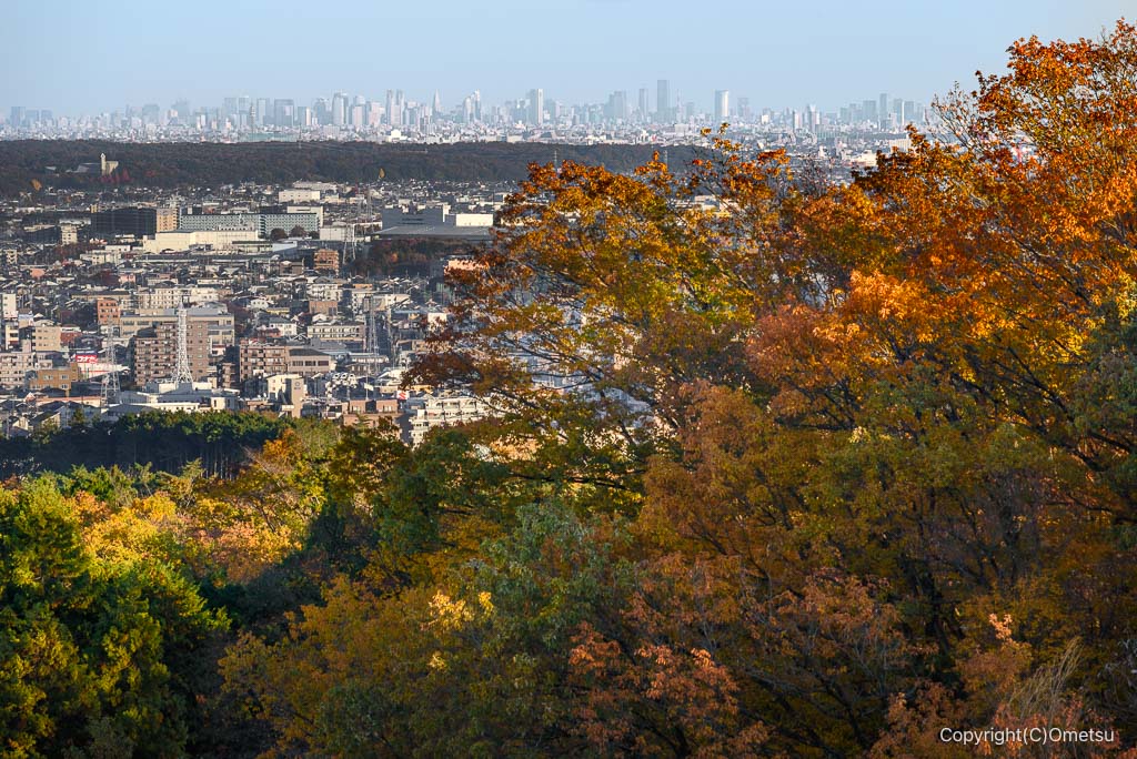 青梅の森・展望広場から、新宿方面展望