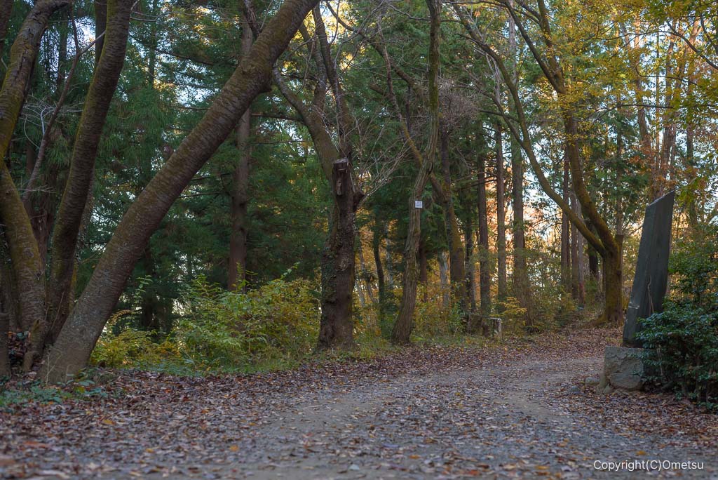 青梅丘陵ハイキングコースの、道