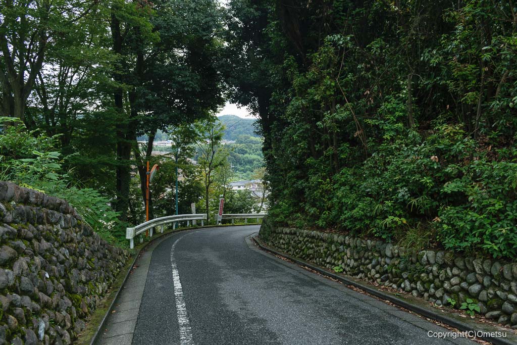 青梅・河辺下への道