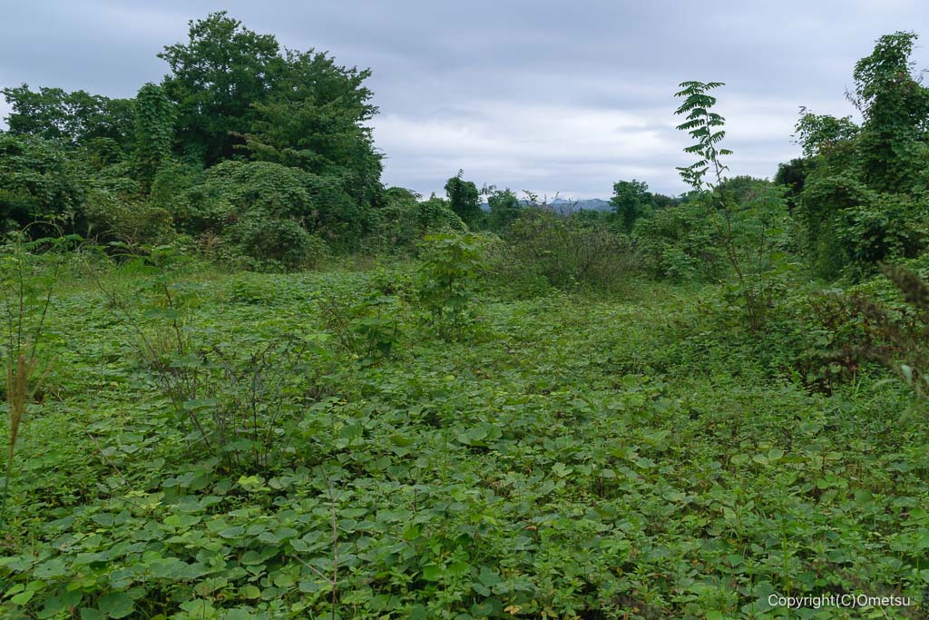 多摩川、河辺砂利運搬線跡地