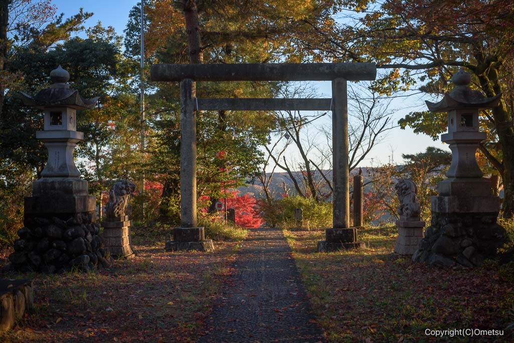 青梅丘陵ハイキングコースの、金比羅神社の鳥居