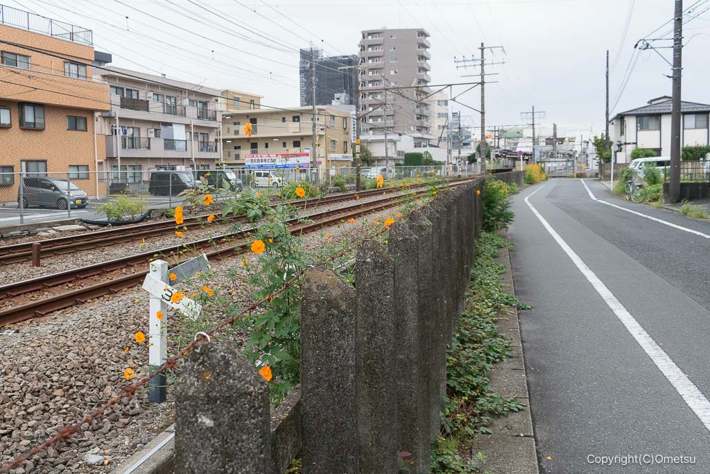 東京都・小作砂利採集線の分岐付近