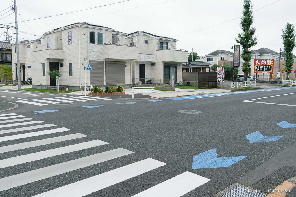 東京都・小作砂利採集線の新奥多摩街道