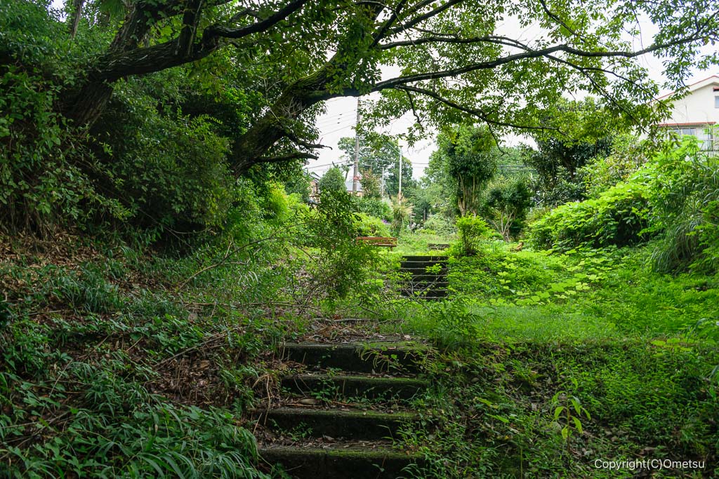 東京都 小作砂利採集線の宮前自然公園の道