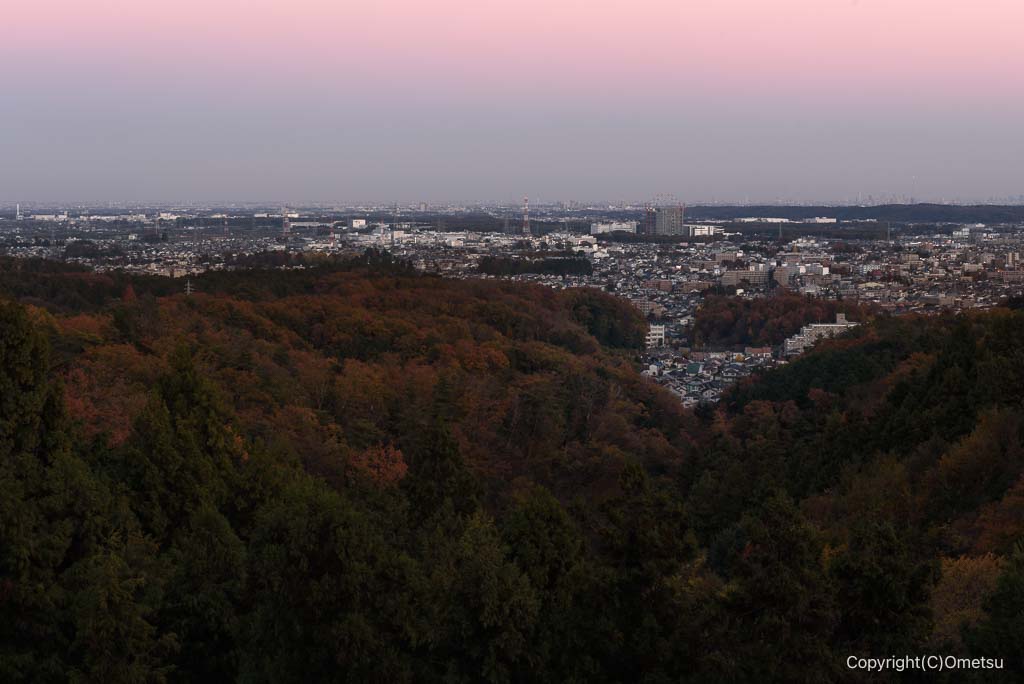 夕方の、青梅の森・展望広場