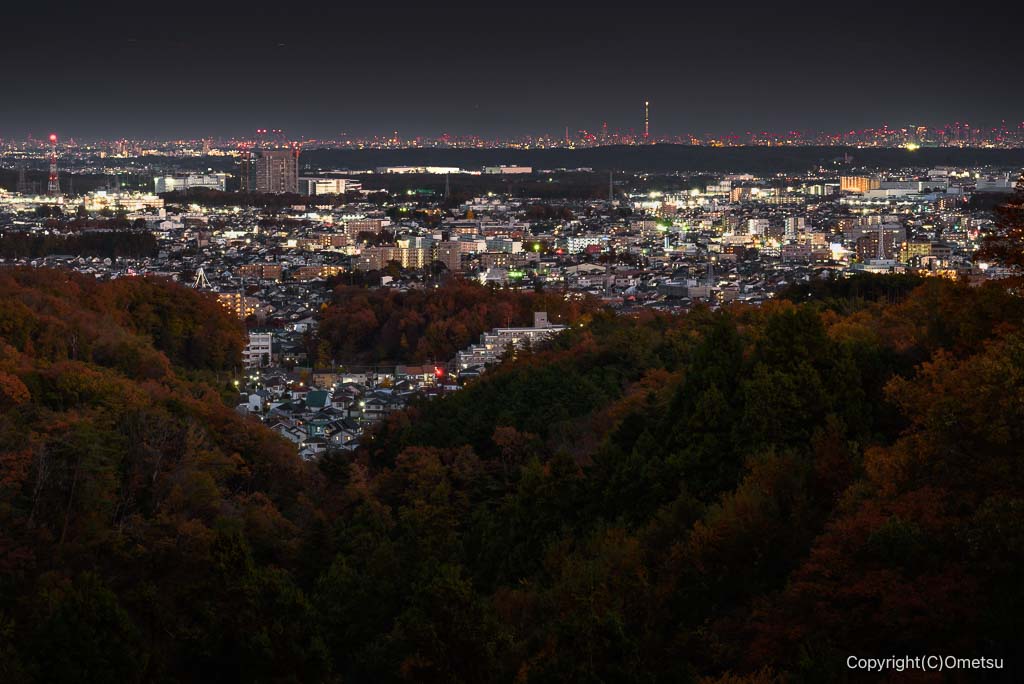 青梅の森・展望広場からの、都心方面の夜景