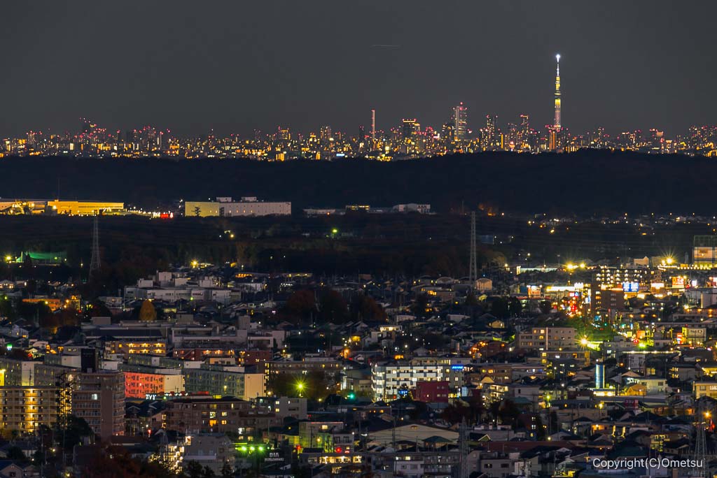 青梅の森・展望広場からの、スカイツリーの夜景
