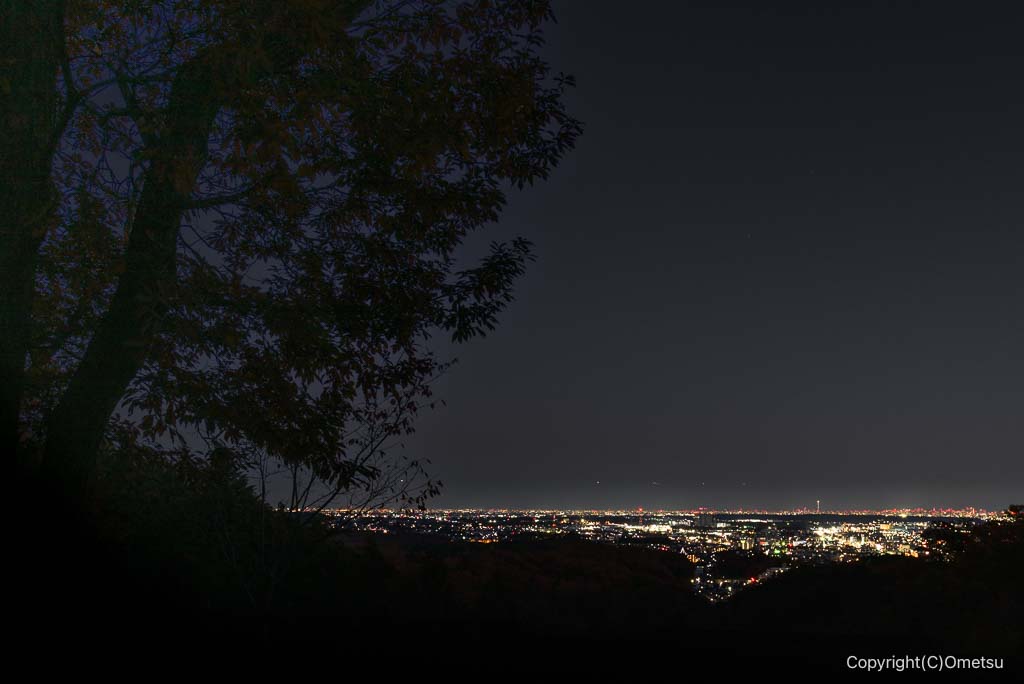 青梅の森・展望広場からの、夜景
