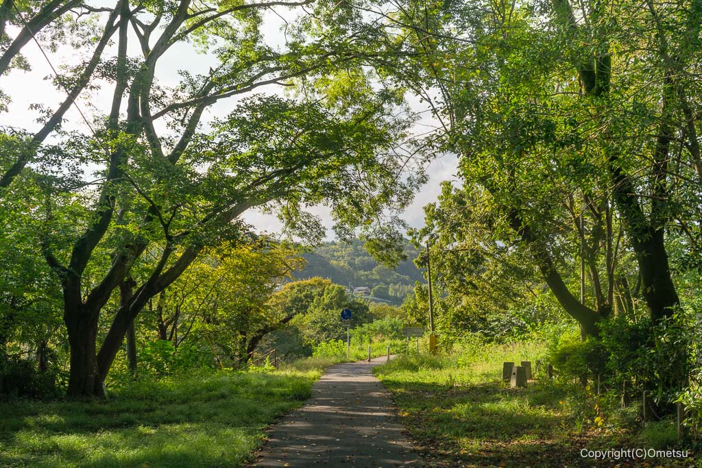 福生河原支線・廃線跡の道