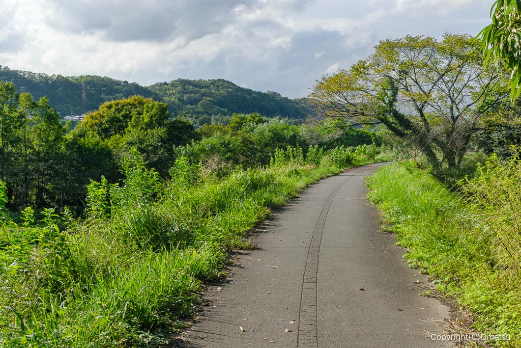 福生河原支線・廃線跡の道