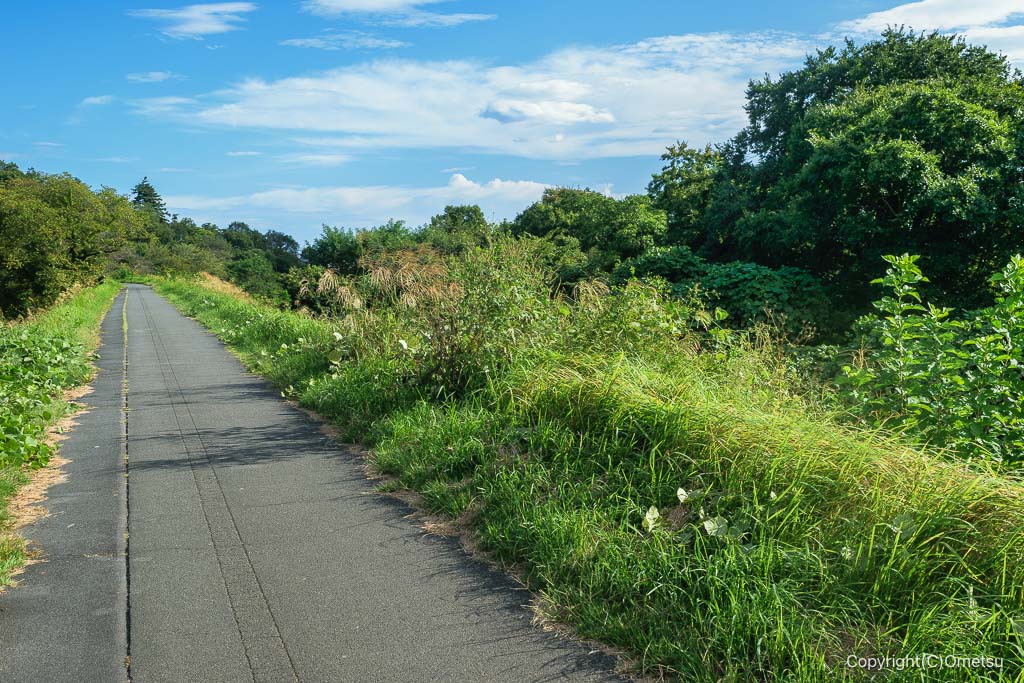 福生河原支線・廃線跡、貨物駅付近