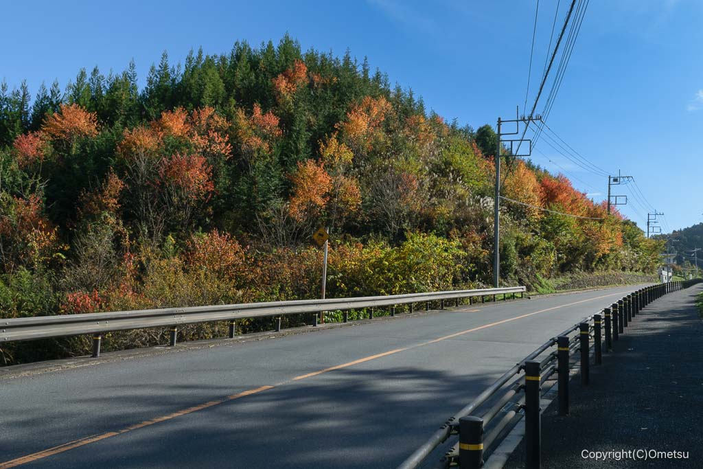 青梅・黒沢石灰採掘場付近の道