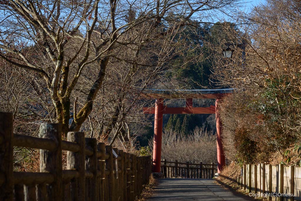 青梅市・御岳山参道