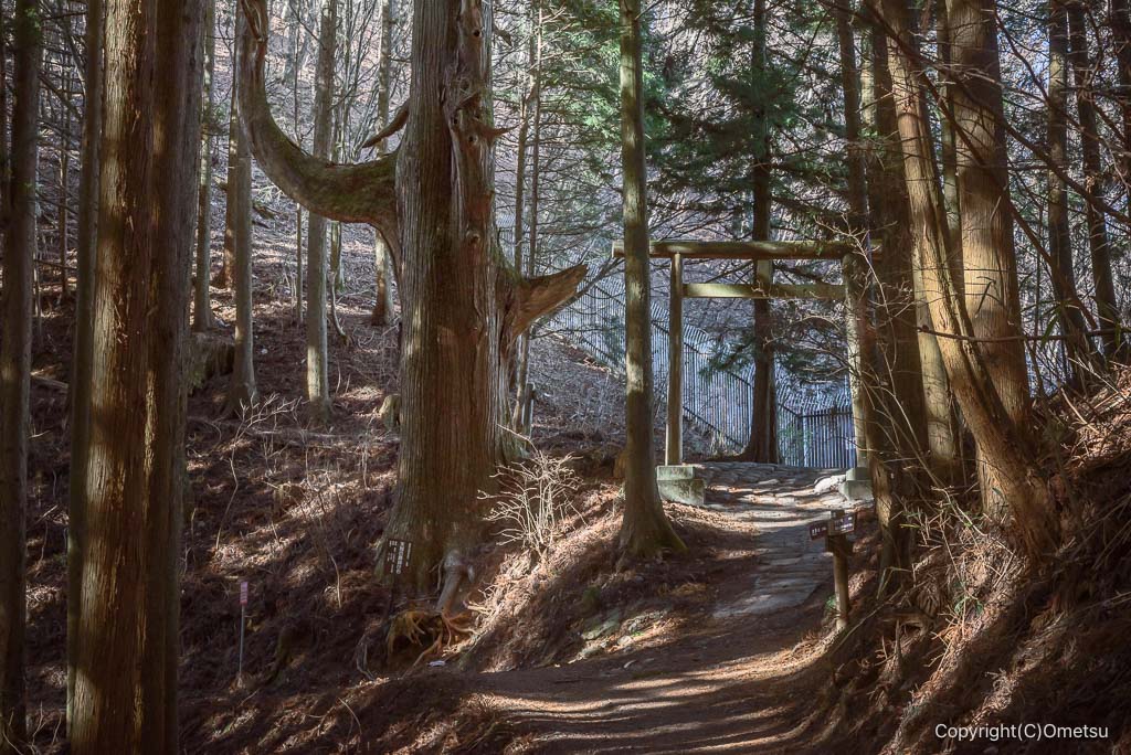 青梅市・御岳山、天狗の腰掛け