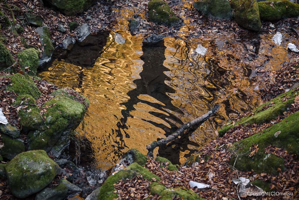 青梅市・御岳山、ロックガーデンの水たまり