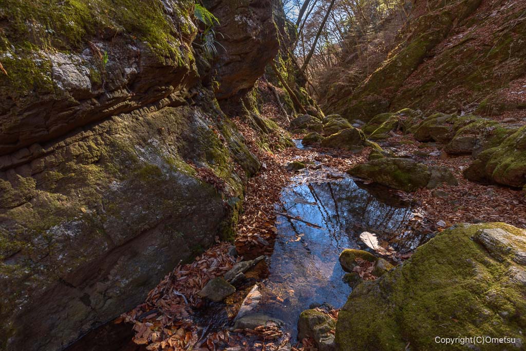 青梅市・御岳山、ロックガーデンの渓谷