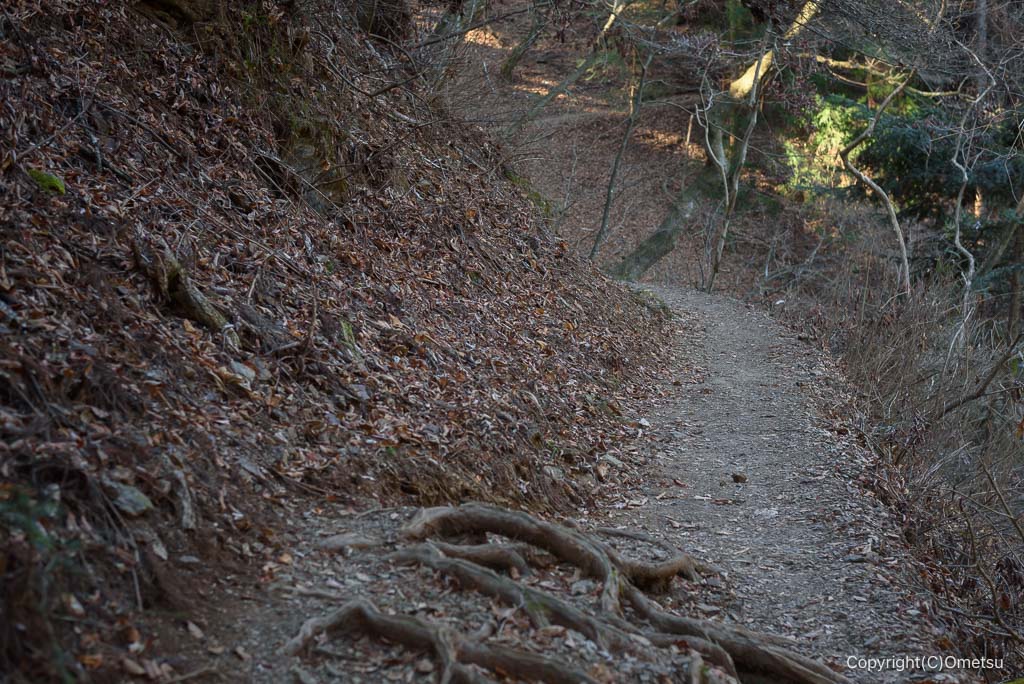 青梅市・御岳山、天狗岩付近の道