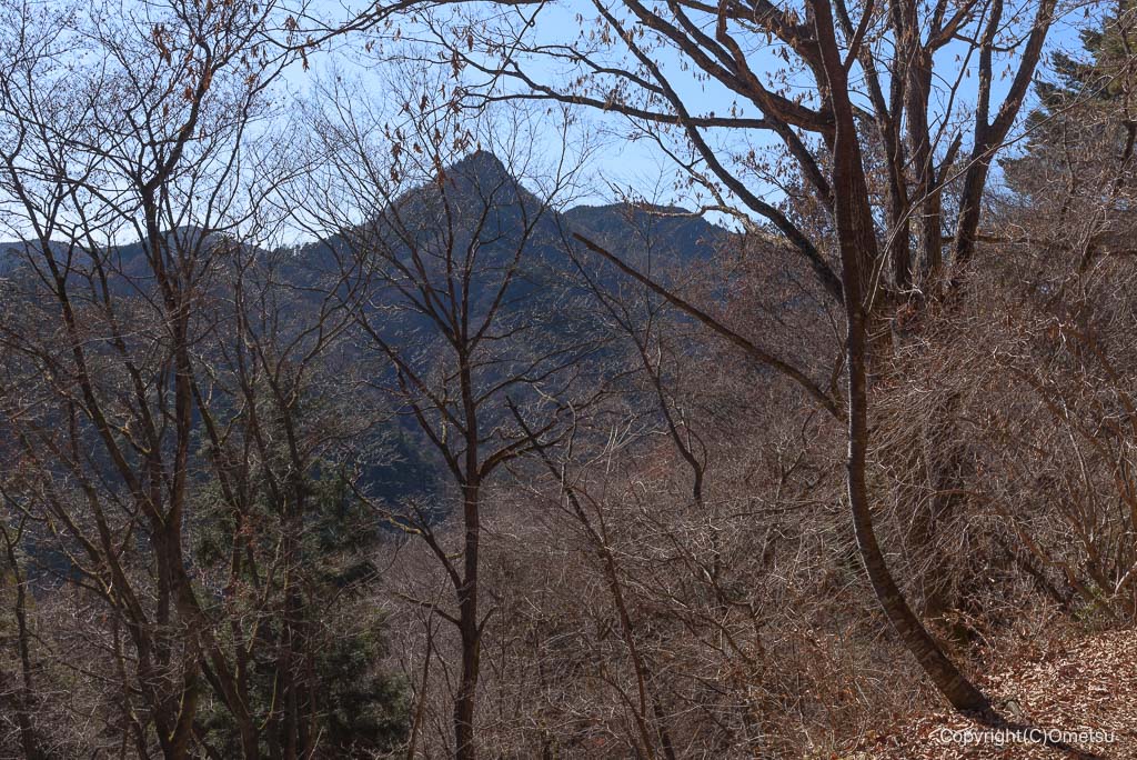青梅市・御岳山、富士峰園地付近からの、奥の院
