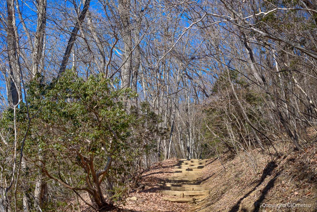 青梅市・御岳山、大塚山の登山道
