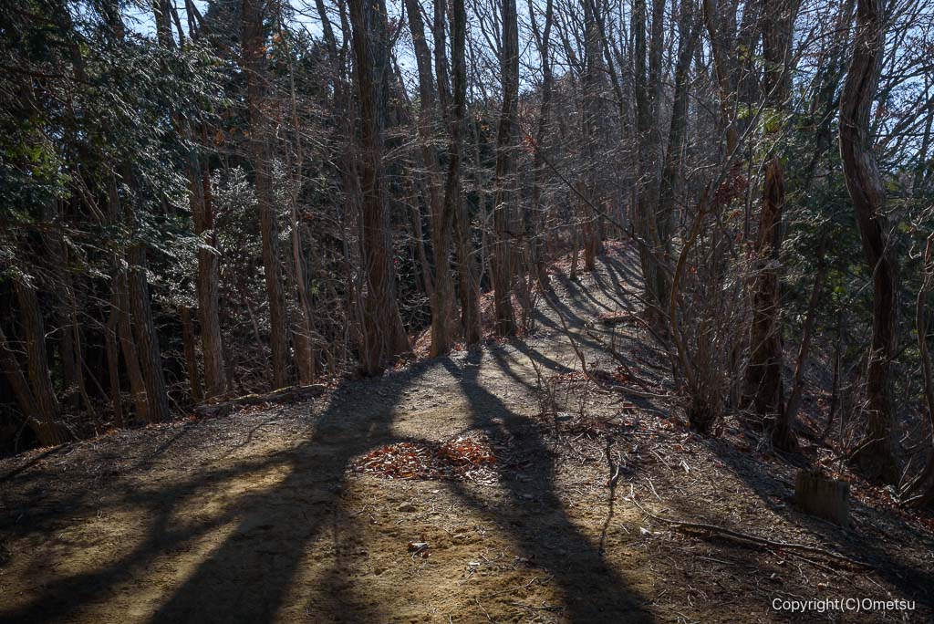 奥多摩・丹三郎尾根の、尾根道