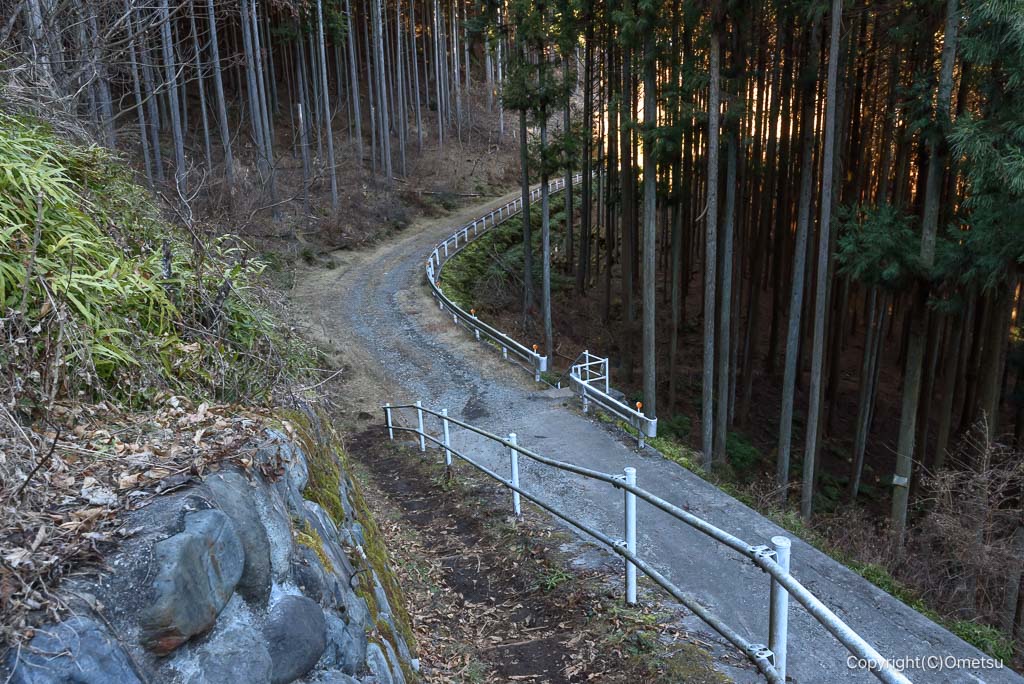 奥多摩・丹三郎尾根の林道付近