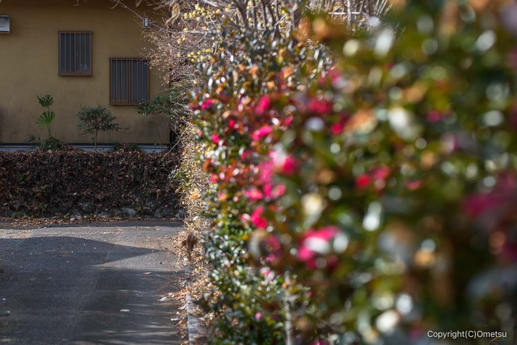 青梅市・柚木苑地近くのっっっっっっっっっっっっっっっっっっっっっっっっっっっっっっっっっっっっっっっっっっっっっっっっっっっっっっっっっっっっっっっっっっっっっっっっっっっっっっっっっっっっっっっっっっっっっっっっっっっｙ