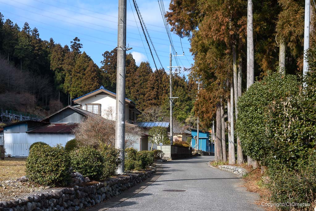 青梅市・草思堂通り