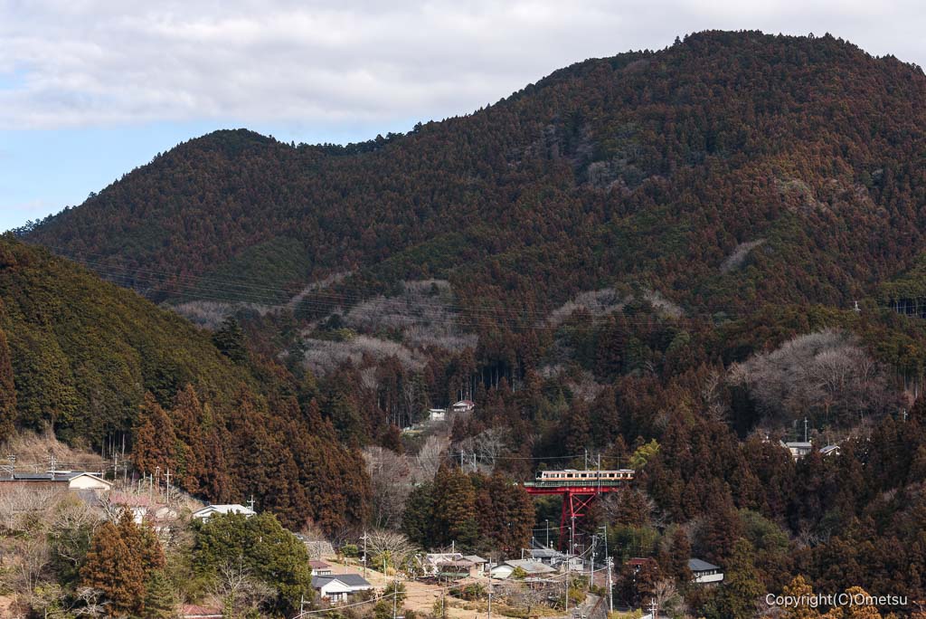 青梅市・文殊山花公園からの、青梅線・奥沢橋梁