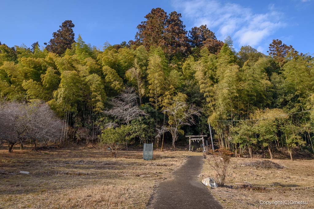 日の出町・熊野神社の参道