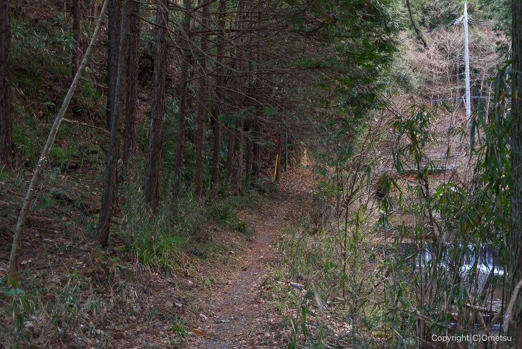 日の出町、一ノ護王神社付近の、南御坂の森