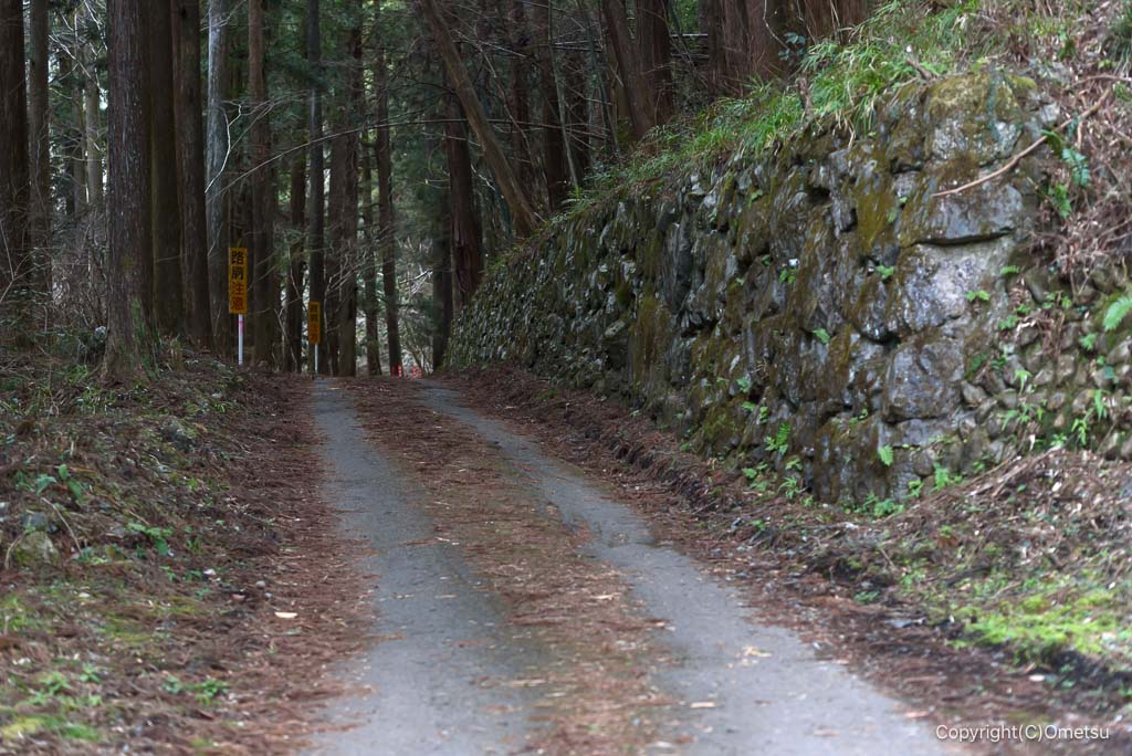 日の出山登山道の林道