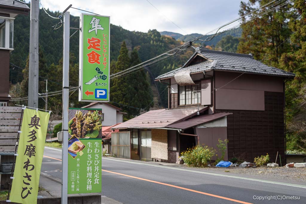 青梅市・吉野街道の、隼