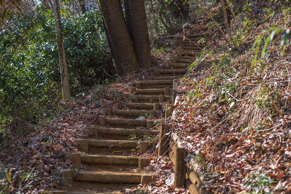 小峰公園の、登山道
