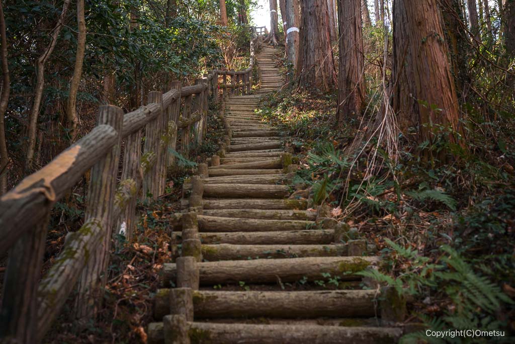 小峰公園の、急登