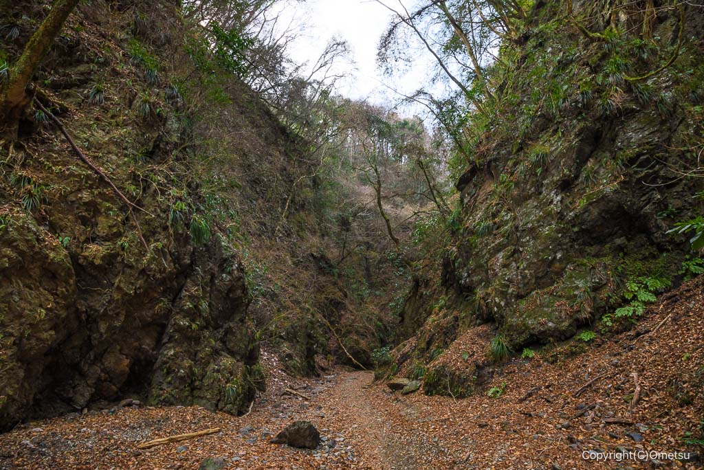 金剛の滝付近の沢