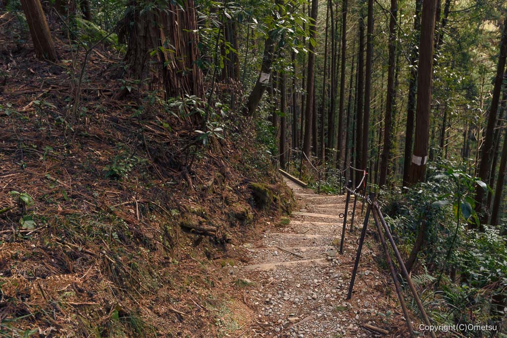 金剛の滝への登山道