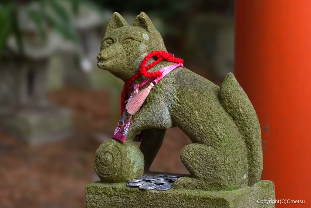 あきる野・阿伎留神社の、白光稲荷神社のキツネ