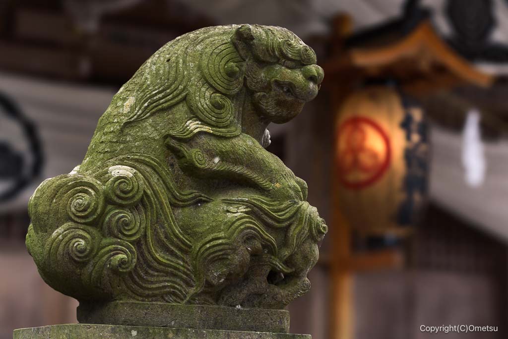 あきる野・阿伎留神社・小取り狛犬