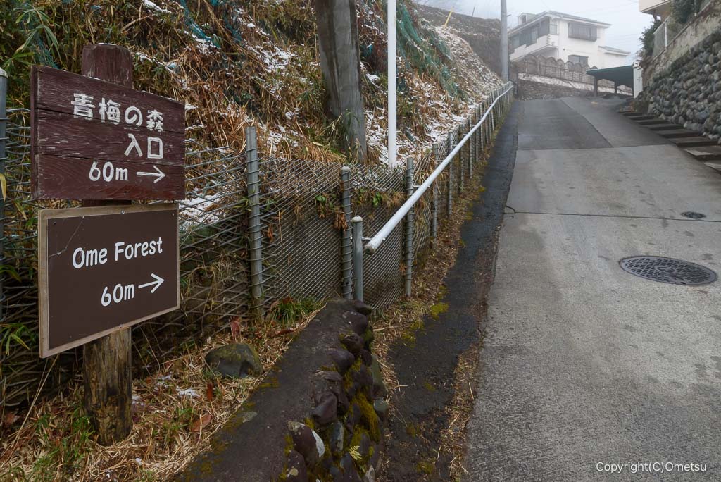 青梅の森入口看板