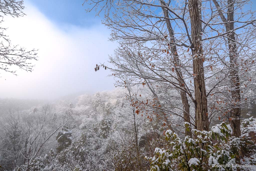 青梅の森の、マツボックリ山展望台からの雪景色