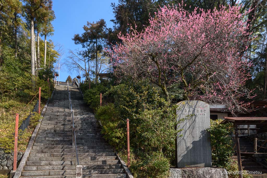 青梅 住吉大社の、石段
