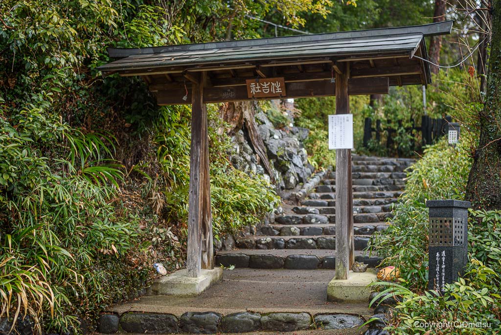 青梅 住吉大社の、女坂