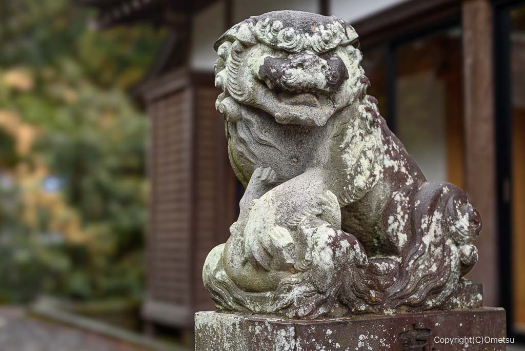 青梅 住吉大社の、大鳥神社の小取り狛犬