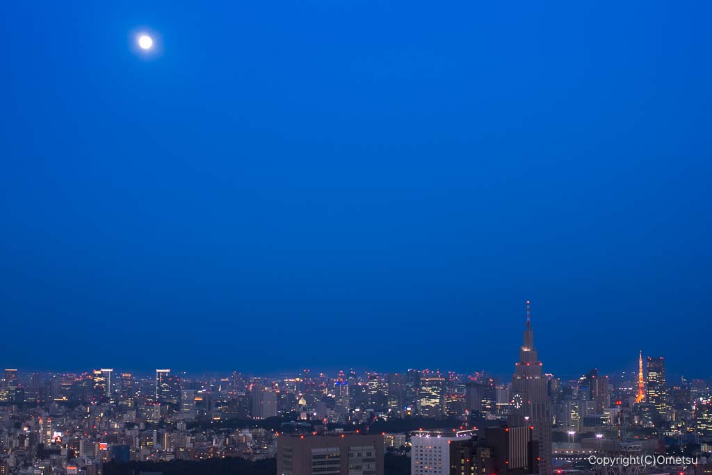 都庁からの光景