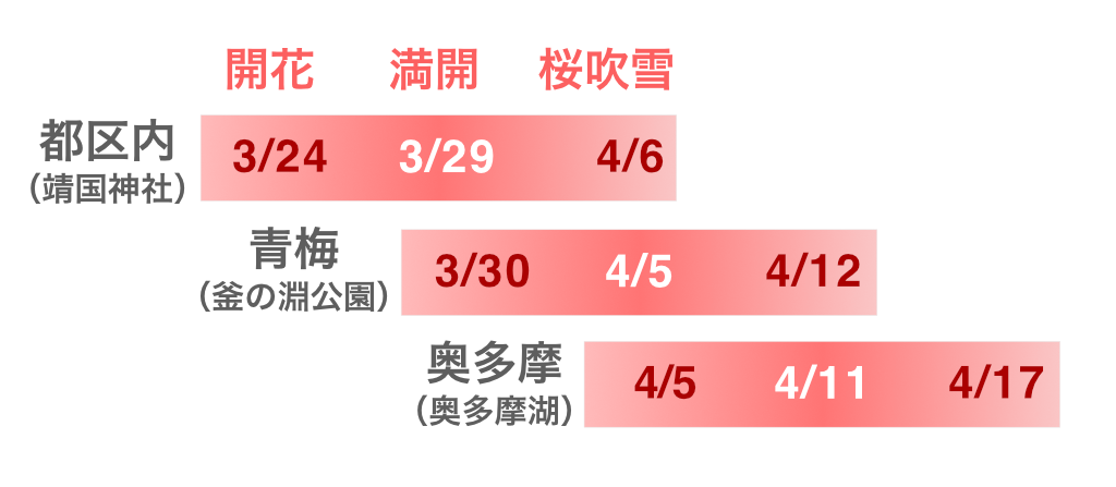 東京・青梅・奥多摩の桜の開花時期