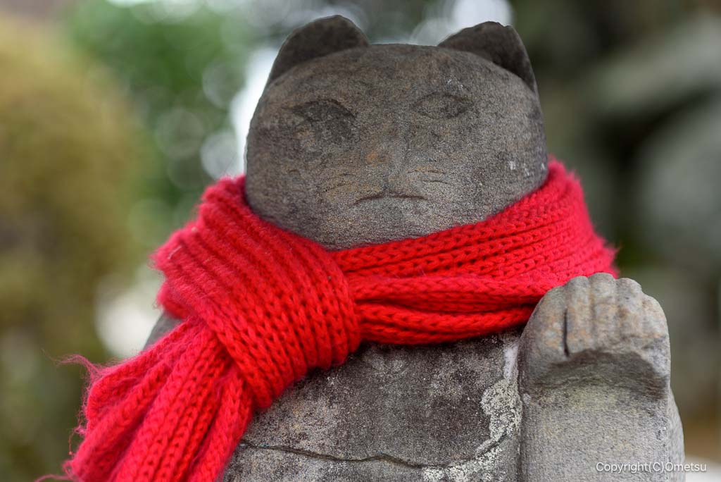 青梅市・常保寺の、猫地蔵