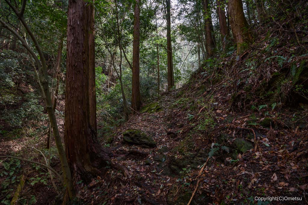 青梅市・赤ぼっこ・畑中ルートの、登山道