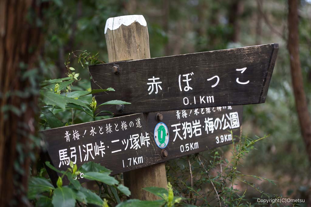青梅市・赤ぼっこ分岐の道標