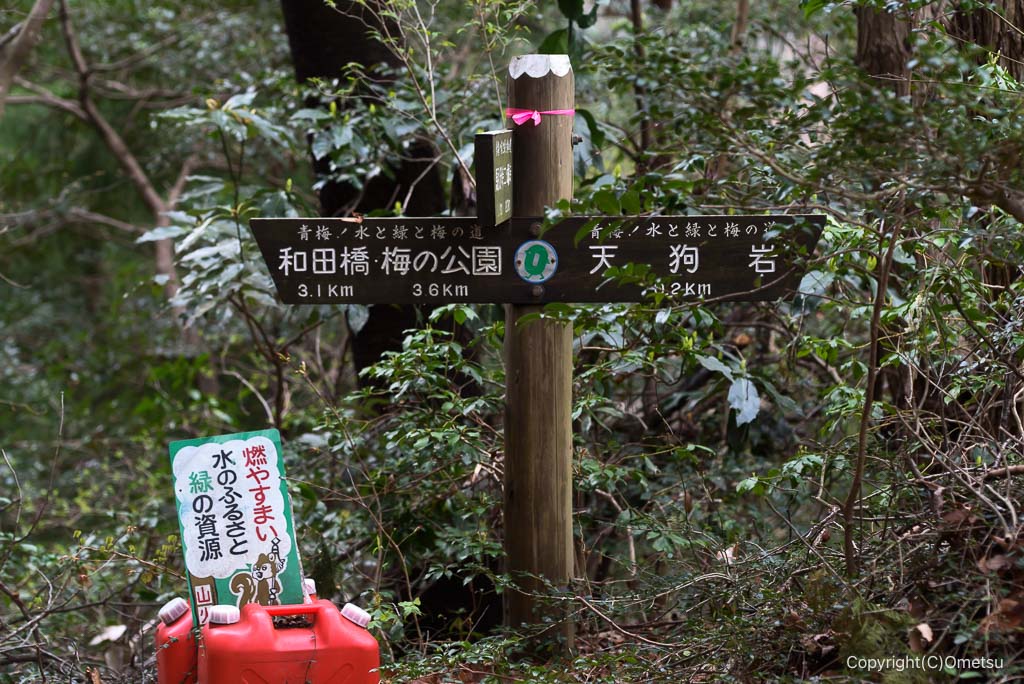 青梅市・赤ぼっこ、天狗岩分岐