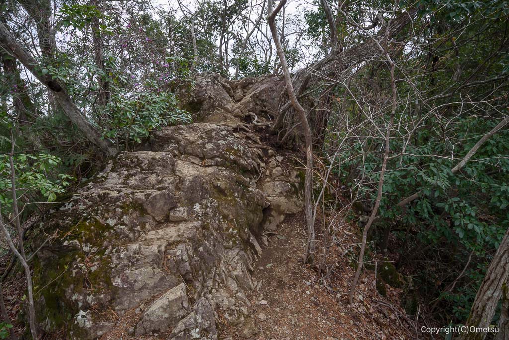 青梅市・赤ぼっこ、天狗岩の、岩場